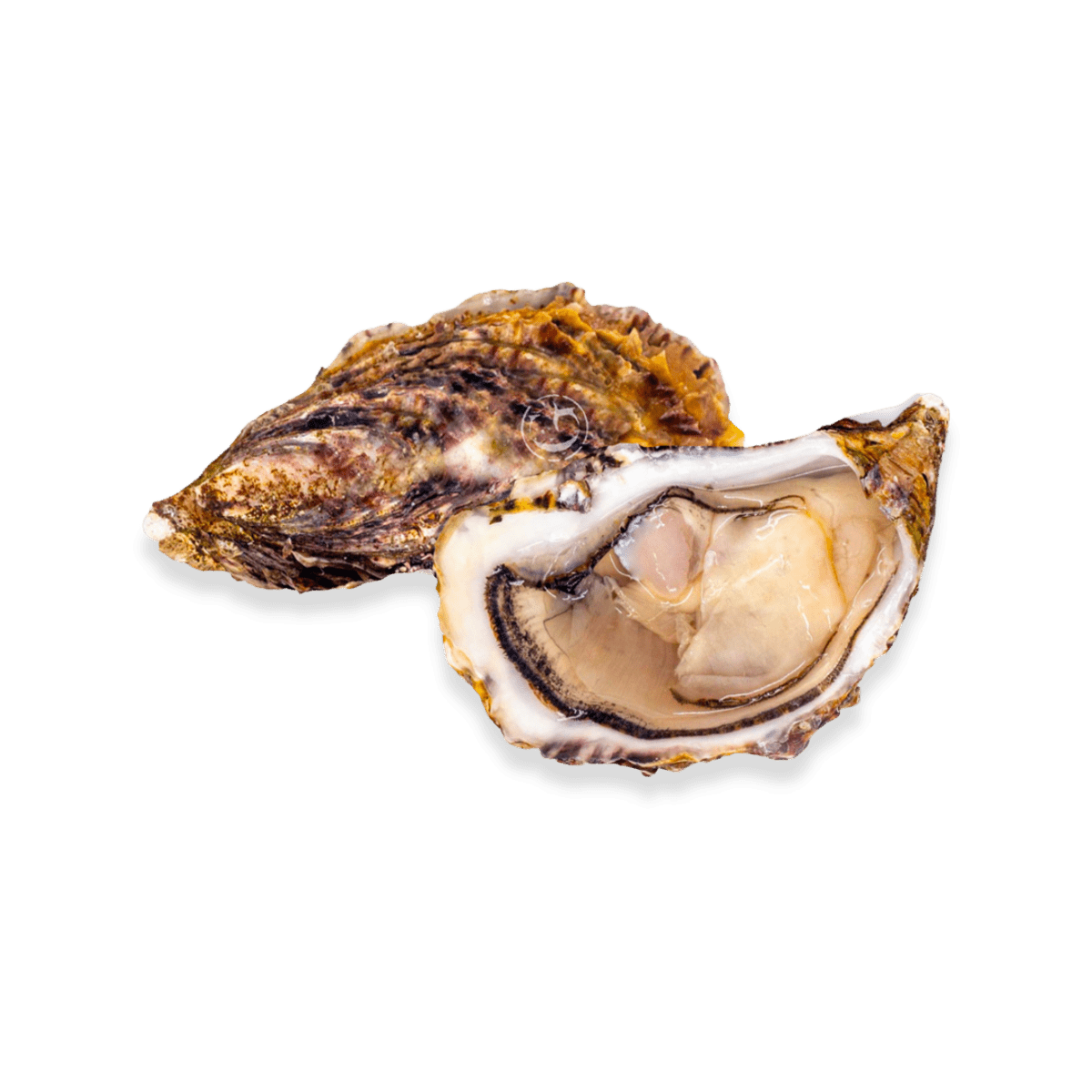 Gillardeau